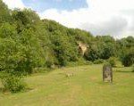 Houghton Hillside Cemetery